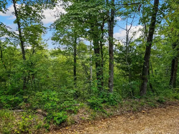1106 Boone Hollow RD, Powell, MO 65730
