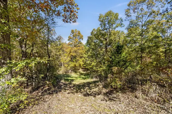875 Windmill RD, Hollister, MO 65672