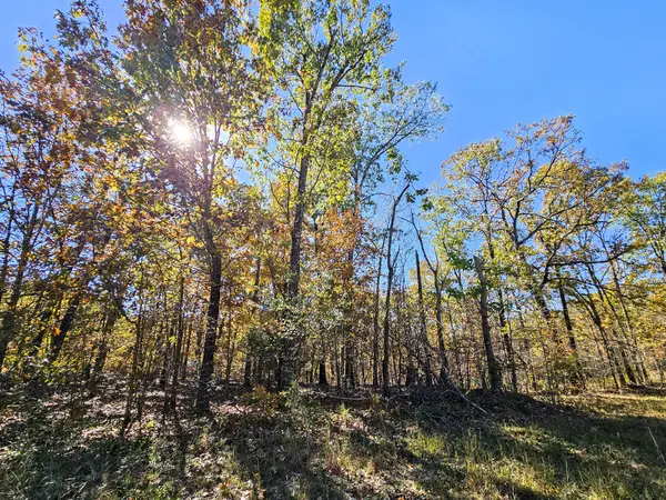 000 State Route Nn, Mountain View, MO 65548