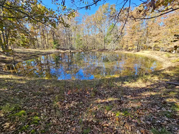 000 State Route Nn, Mountain View, MO 65548