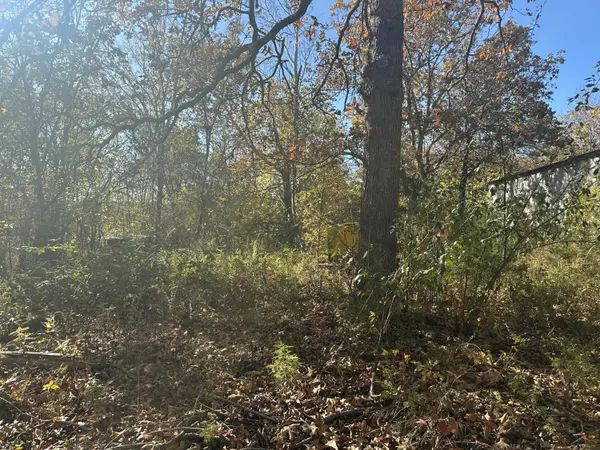 6659 State Highway 176, Walnut Shade, MO 65771
