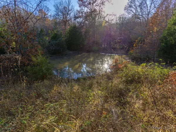 2112 County Road 348, Thayer, MO 65791