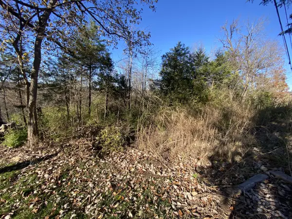 0 E Redbud ST, Springfield, MO 65804