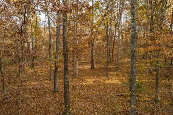 Lot 28 County Road 555 C, Tecumseh, MO 65760