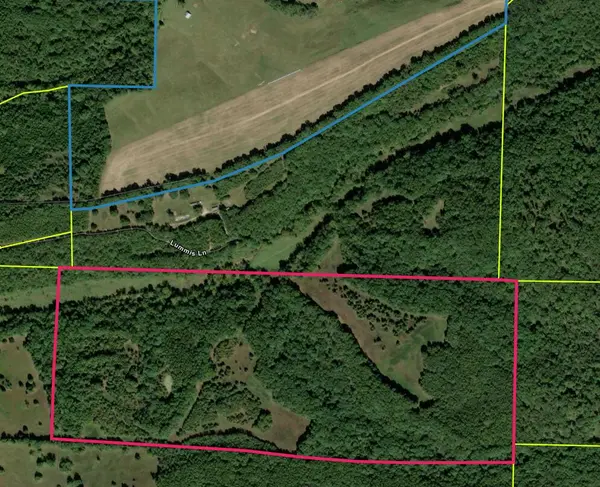 000 Lummis LN, Wasola, MO 65773