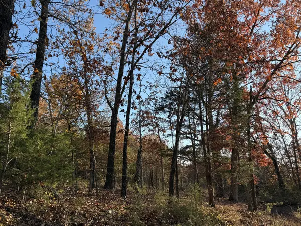000 County Road 871, Thornfield, MO 65762