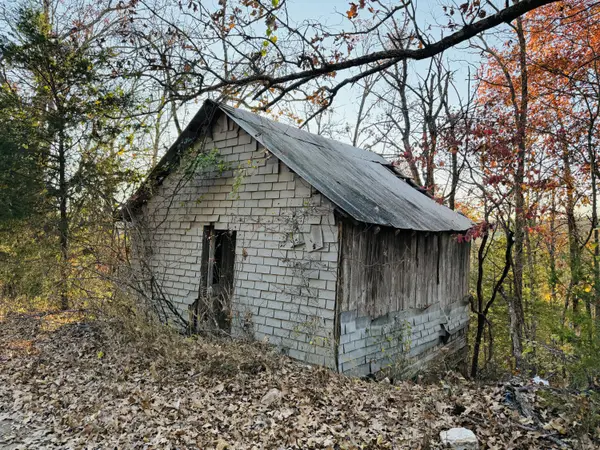000 County Road 871, Thornfield, MO 65762