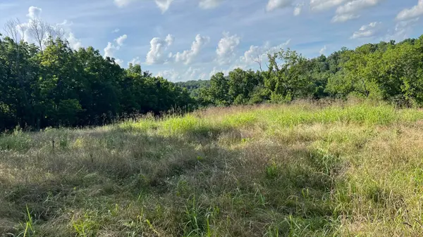 1067 Farm Road 2170, Exeter, MO 65647