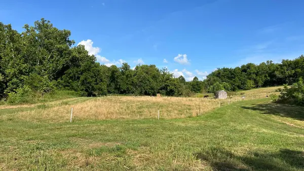 1067 Farm Road 2170, Exeter, MO 65647