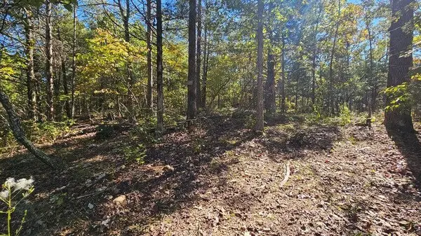 000 Rolling Hills Block 11 Lot 22, Theodosia, MO 65761