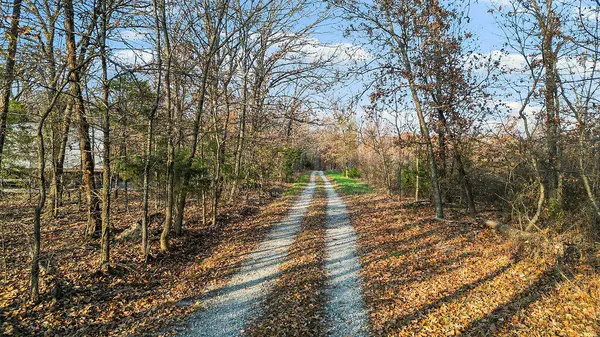 171 Togi Hill RD, Noel, MO 64854
