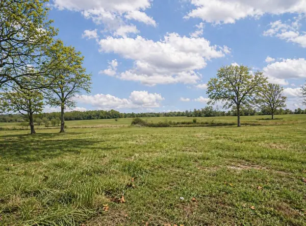 19071 Highway 32, Licking, MO 65542