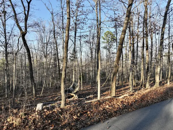 000 Bass Rock Drive Lot 2, Van Buren, MO 63965