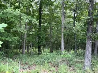 2371 County Road 359, Thayer, MO 65791
