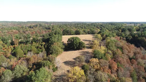 615 Thomas Hollow RD, Rocky Comfort, MO 64861