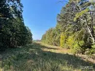 9641 Crane DR, Bucyrus, MO 65444