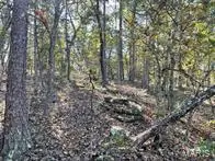 9641 Crane DR, Bucyrus, MO 65444