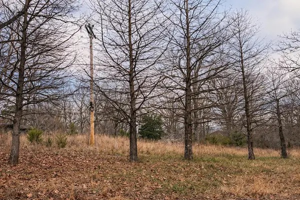 000 Acres Road, Williford, AR 72482