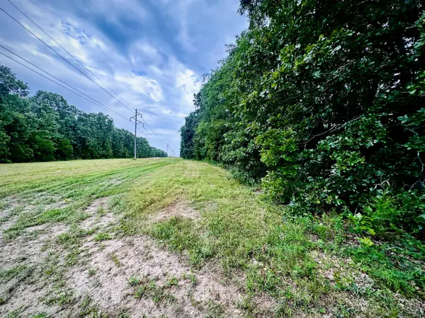 000 Co Rd 4180 Lot 10, Salem, MO 65560