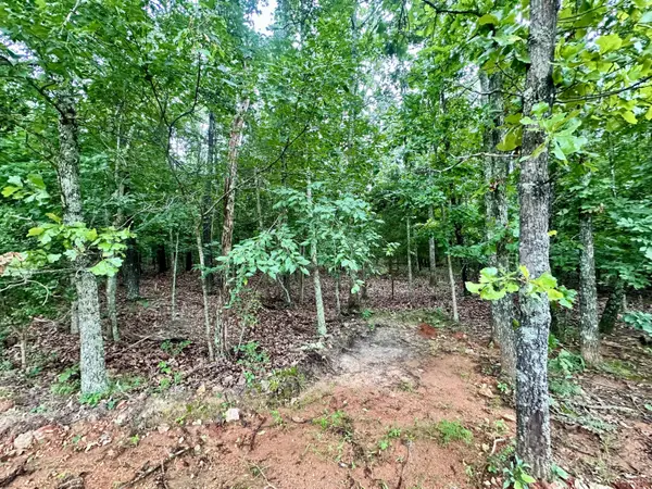 000 Co Rd 4180 Lot 10, Salem, MO 65560