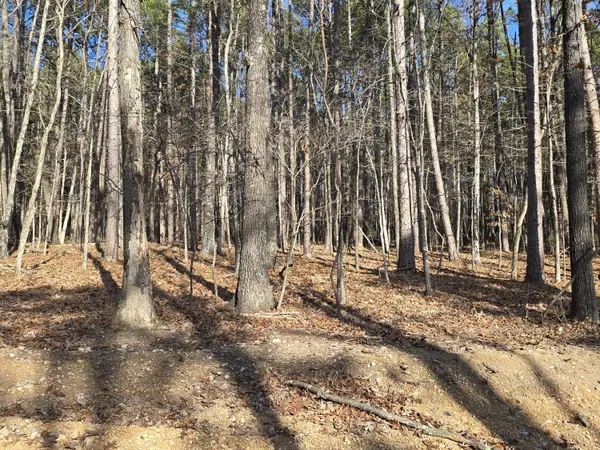000 Mineral Dr. Lot 2, Houston, MO 65483