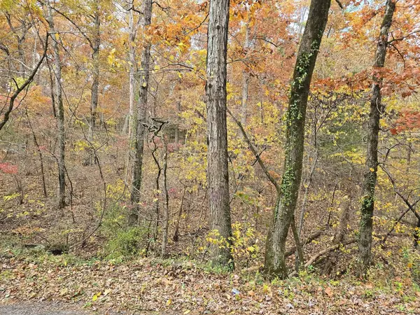 000 Mineral Dr. Lot 3, Houston, MO 65483