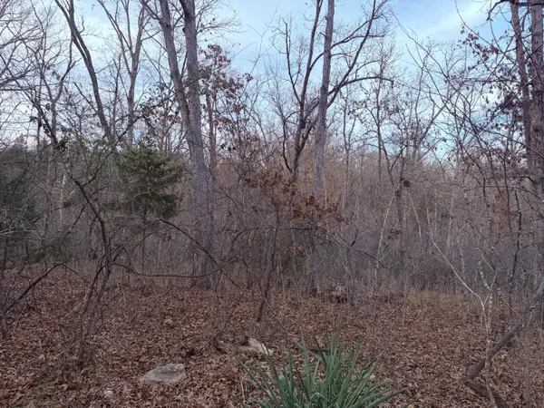 000 N Dade 173, Greenfield, MO 65661