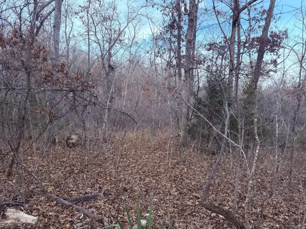 000 N Dade 173, Greenfield, MO 65661