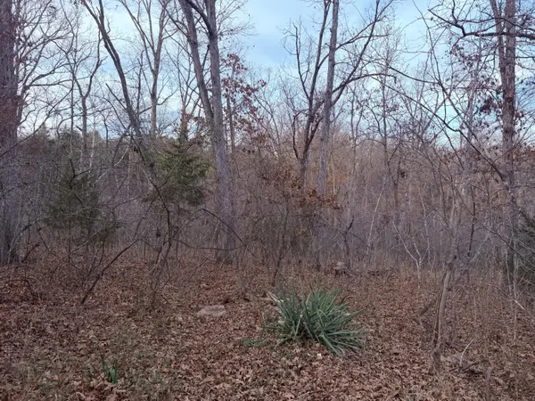 000 N Dade 173, Greenfield, MO 65661
