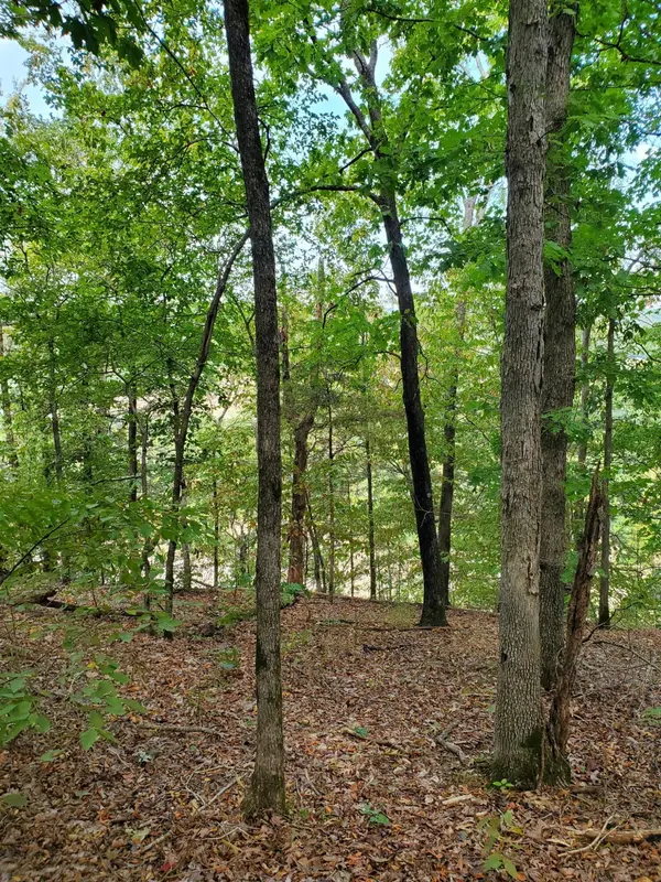 000 Highway H, Noel, MO 64854