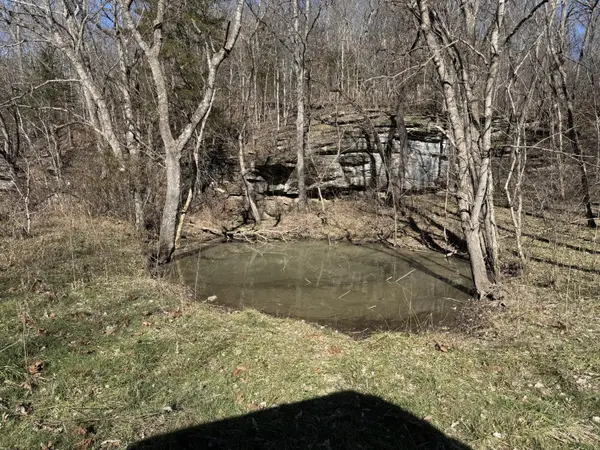Xoxo Flag Springs Road, Washburn, MO 65772