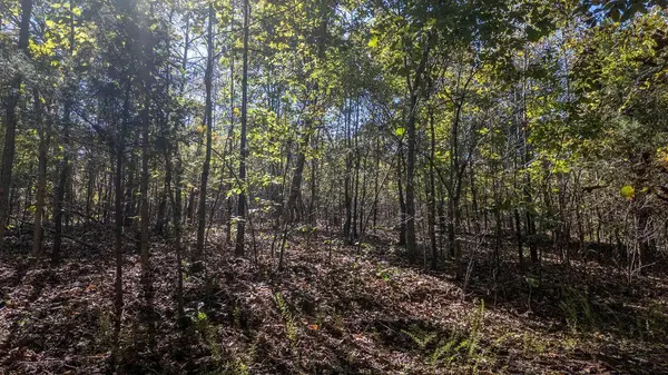 000 Wetumka DR, Cherokee Village, AR 72529