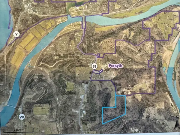 85-Ac Burmingham Road, Forsyth, MO 65653