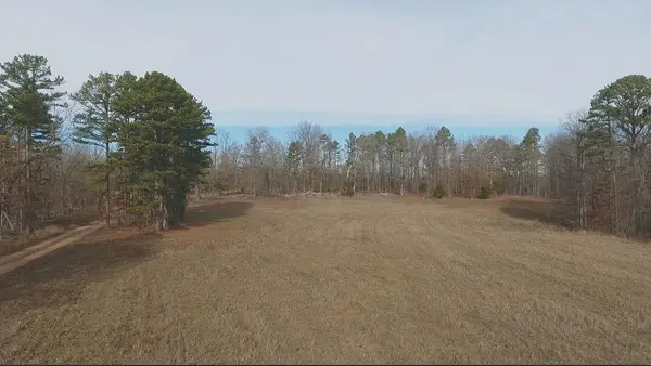 000 Private Road 422-17, Birch Tree, MO 65438