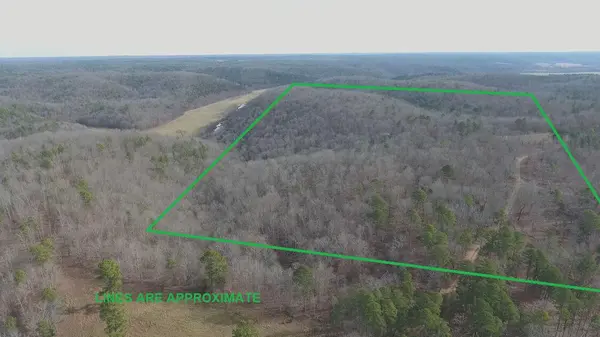 000 Private Road 422-17, Birch Tree, MO 65438