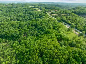 000 El Monte RD #Lot 1, Branson, MO 65616