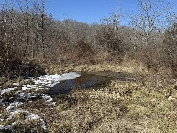 1677 Glad Hill RD, Mansfield, MO 65704