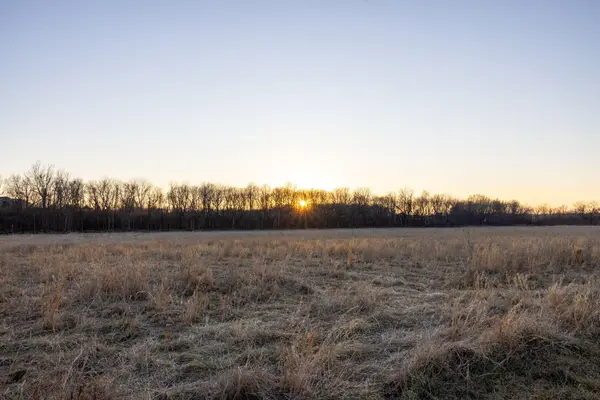 000 S Farm Road 69, Republic, MO 65738