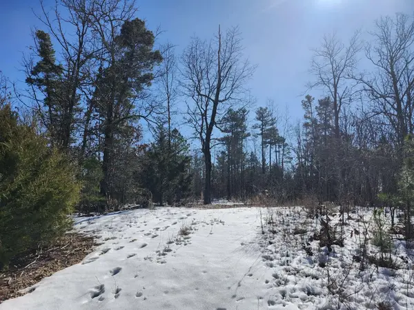 000 Sargent RD, Willow Springs, MO 65793