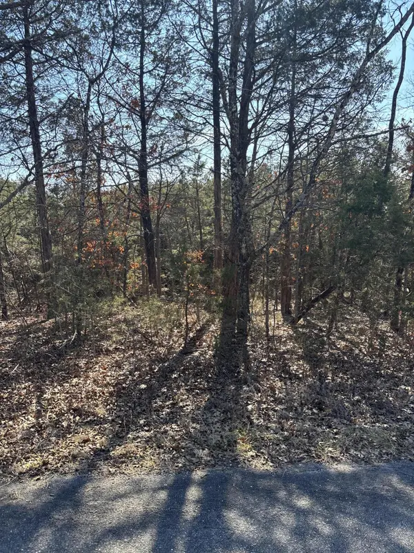 Tbd State Hwy Yy, Shell Knob, MO 65747
