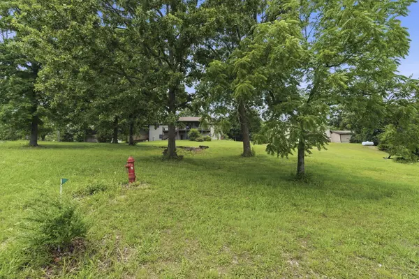 000 Twin Island Lot 15 & 16 Blk 11, Blue Eye, MO 65611