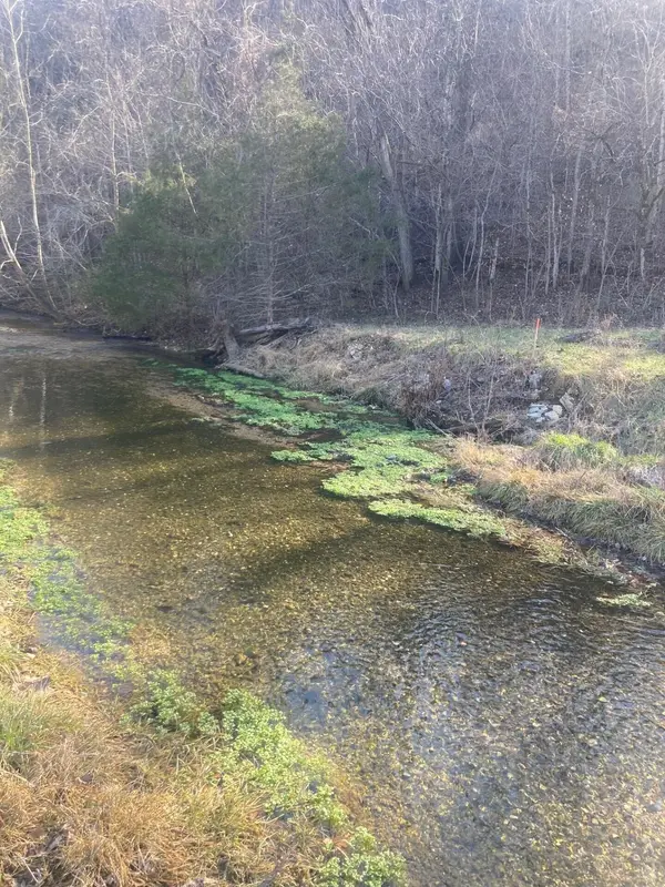 000 Reno Springs RD, Branson, MO 65616
