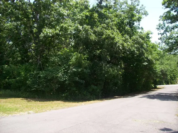130, 131 Turkey Mountain Estates #2, Shell Knob, MO 65747