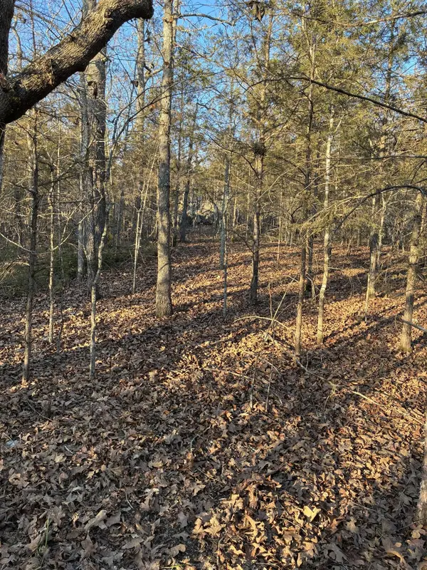Lot 24 Limestone DR, Branson West, MO 65737