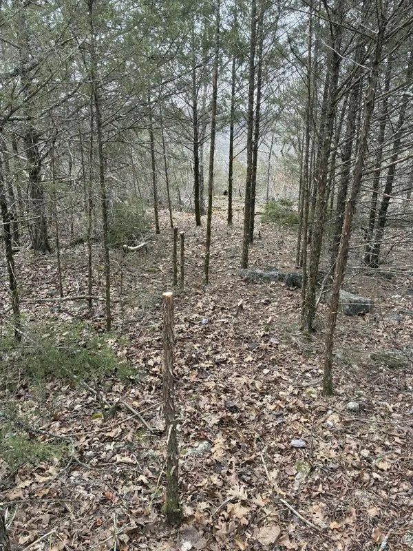 Lot 24 Limestone DR, Branson West, MO 65737