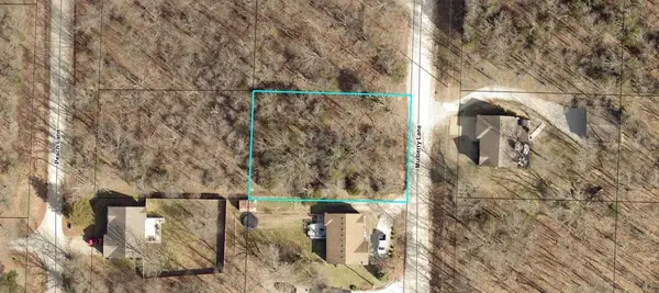 Lot 6 Mulberry LN, Ridgedale, MO 65739
