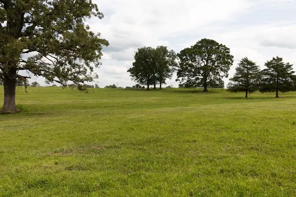 10851 Lone Pine RD, Mountain Grove, MO 65711