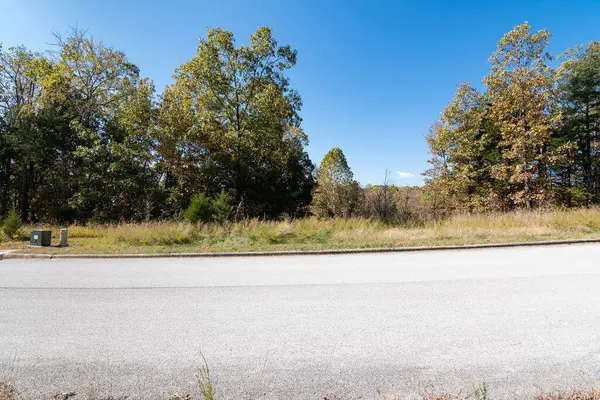 Lot 4 Redwine AVE, Branson, MO 65616