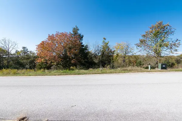 Lot 11 Redwine AVE, Branson, MO 65616