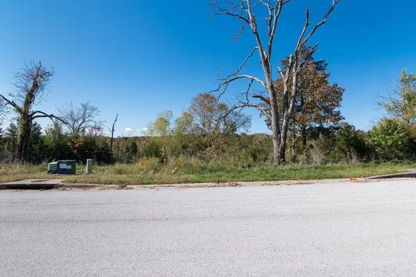 Lot 14 Redwine AVE, Branson, MO 65616